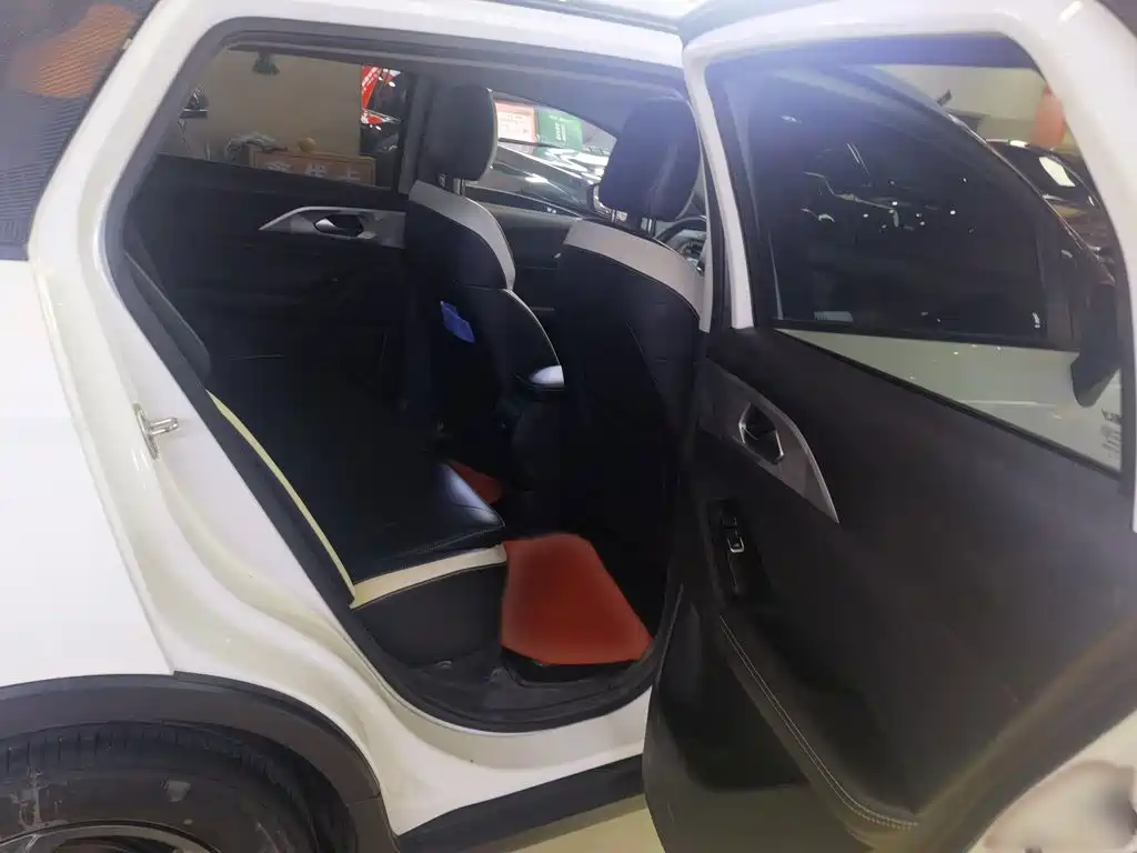 Geely Geometry E Firefly 2023 2022 401KM Delicate Tiger 4-seater