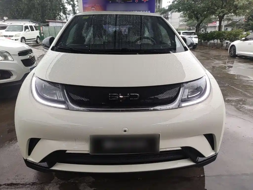 BYD Dolphin 2026 2025 420km Freedom Edition