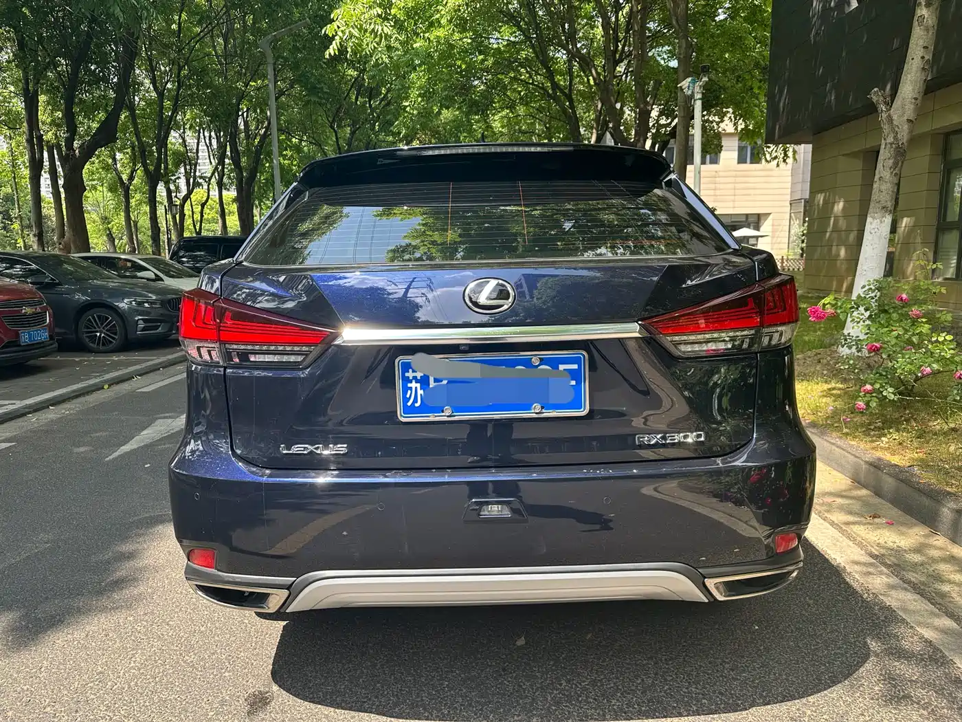 Lexus RX 2020 Facelift 300 2WD Elite Edition фото 5
