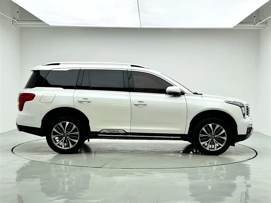 GAC Trumpchi Trumpchi GS8 2017 320T AWD Luxury Smart Connect (7-Seater) фото 7