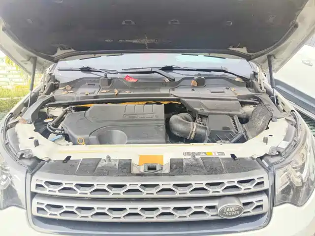 Land Rover Discovery Sport 2019 240PS SE Edition China VI — фото 3