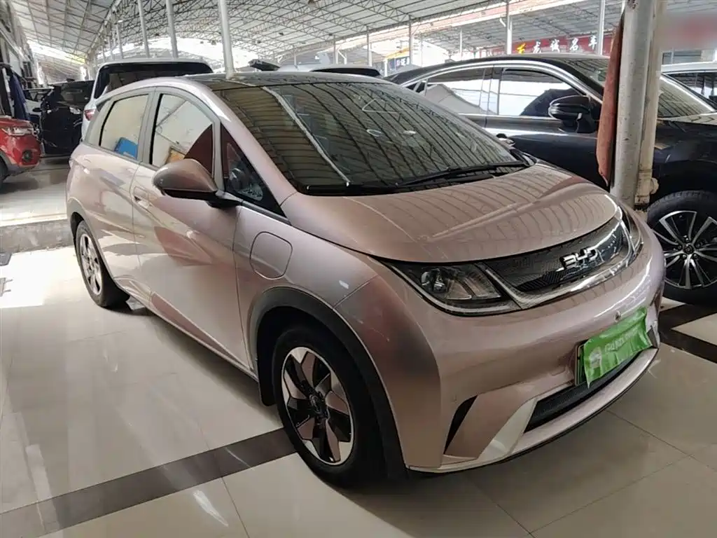 BYD Dolphin 2025 420km Fashion Edition фото 22