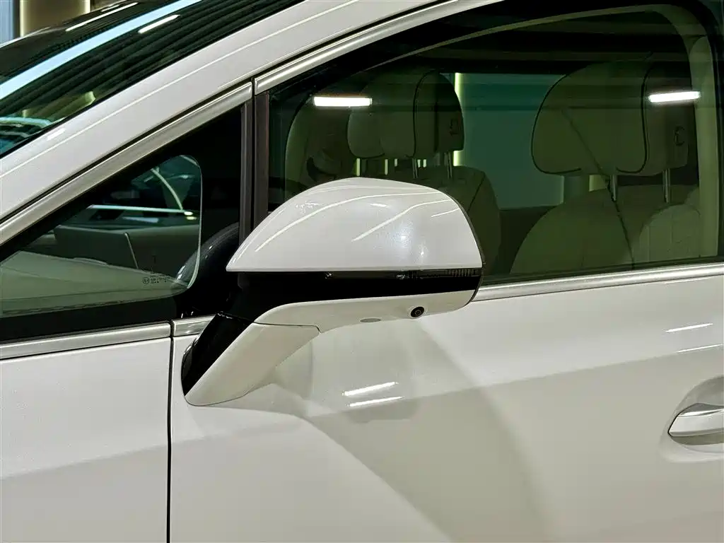 Denza D9 2024 DM-i 980 AWD Prestige фото 26