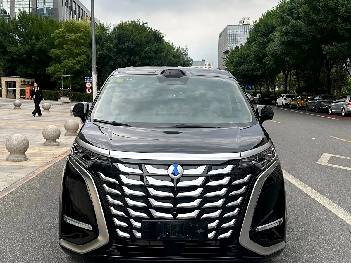 Denza D9 2025 DM-i Smart Drive Edition 1020 AWD Premium фото 2