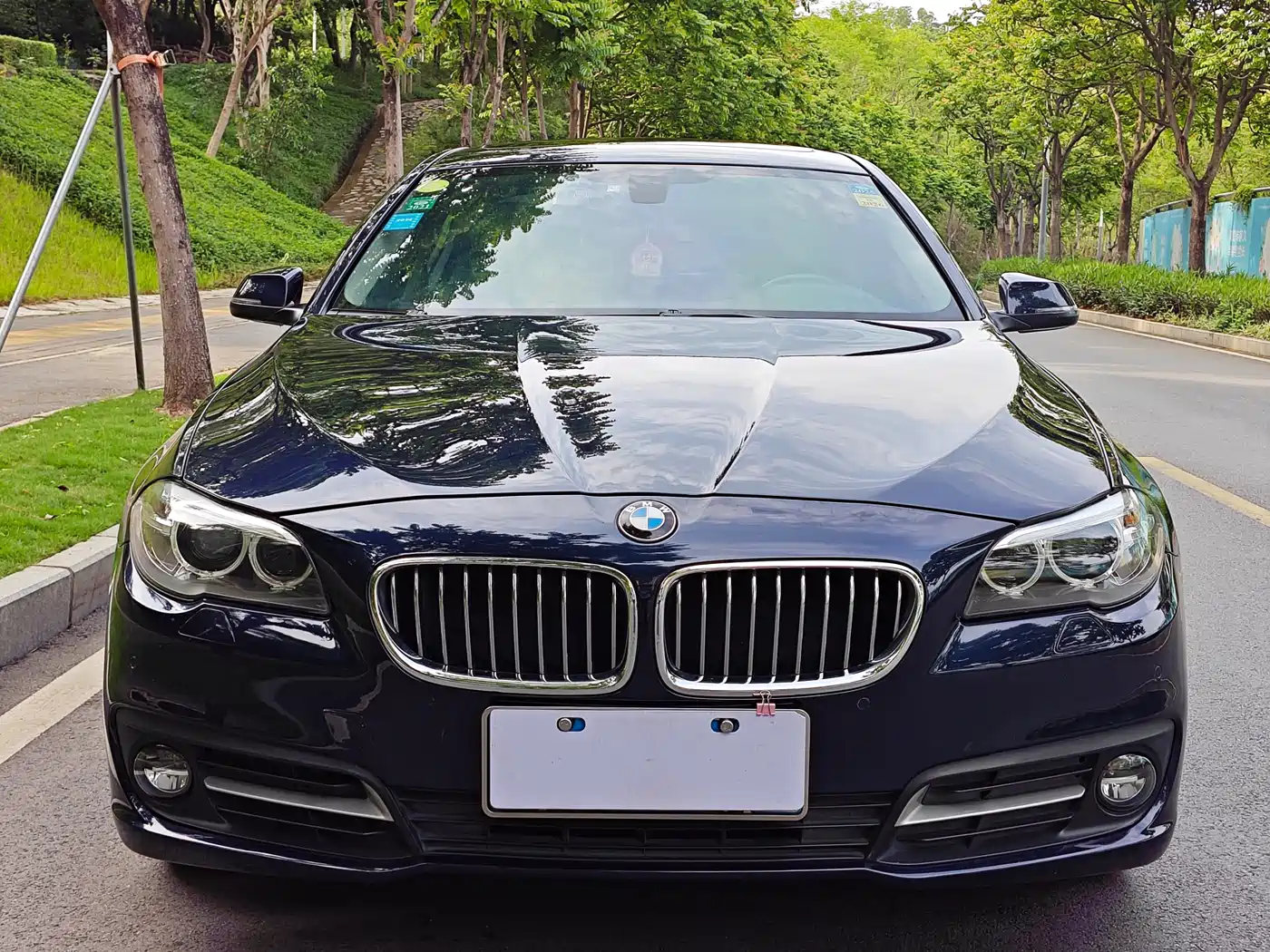 BMW 5 Series (Import) 2014 520i Classic