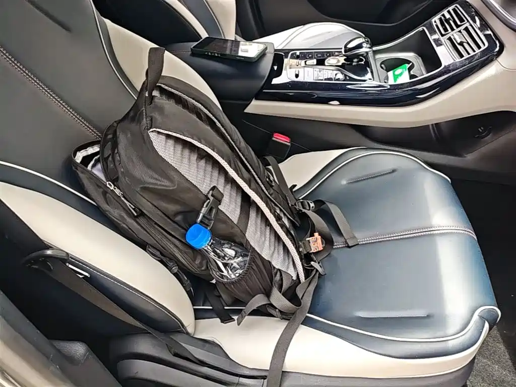 BYD Qin PLUS 2021 DM-i 55KM Flagship фото 25