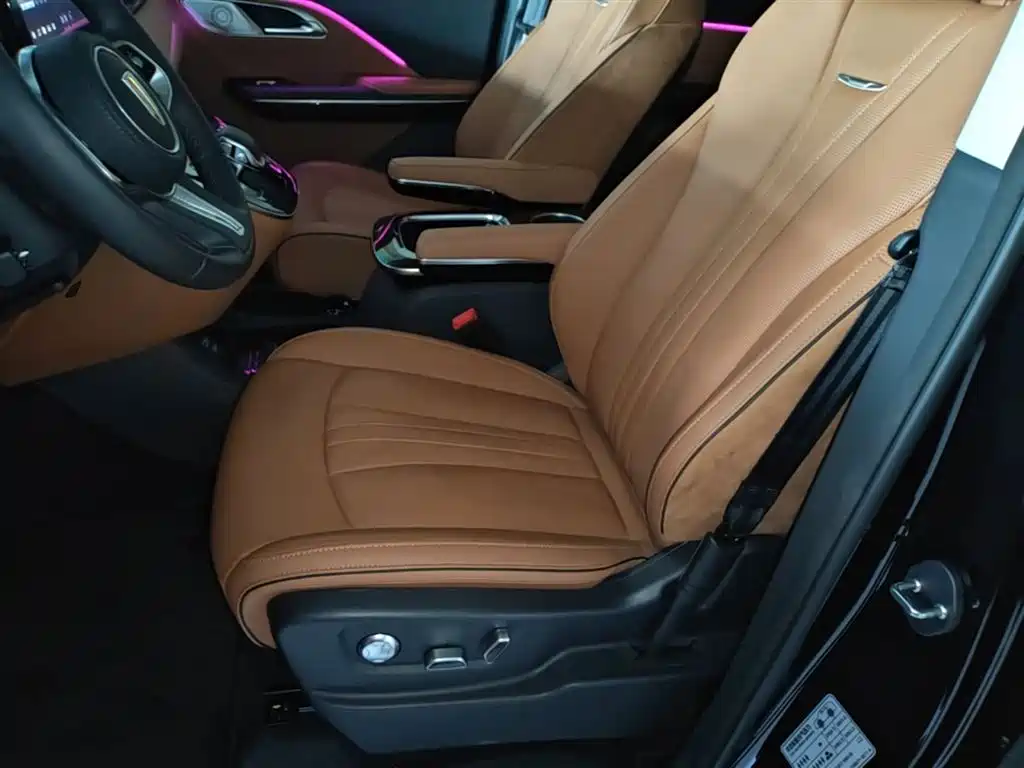 Hongqi HQ9 PHEV 2024 Model 2.0T AWD Luxury Edition фото 15