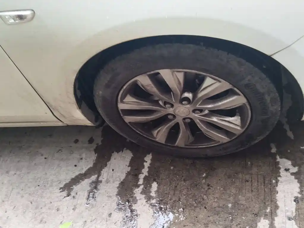 Фото 8 - Buick Excelle