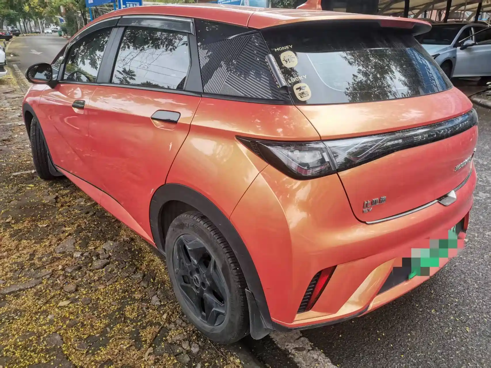 Фото 9 - BYD Dolphin