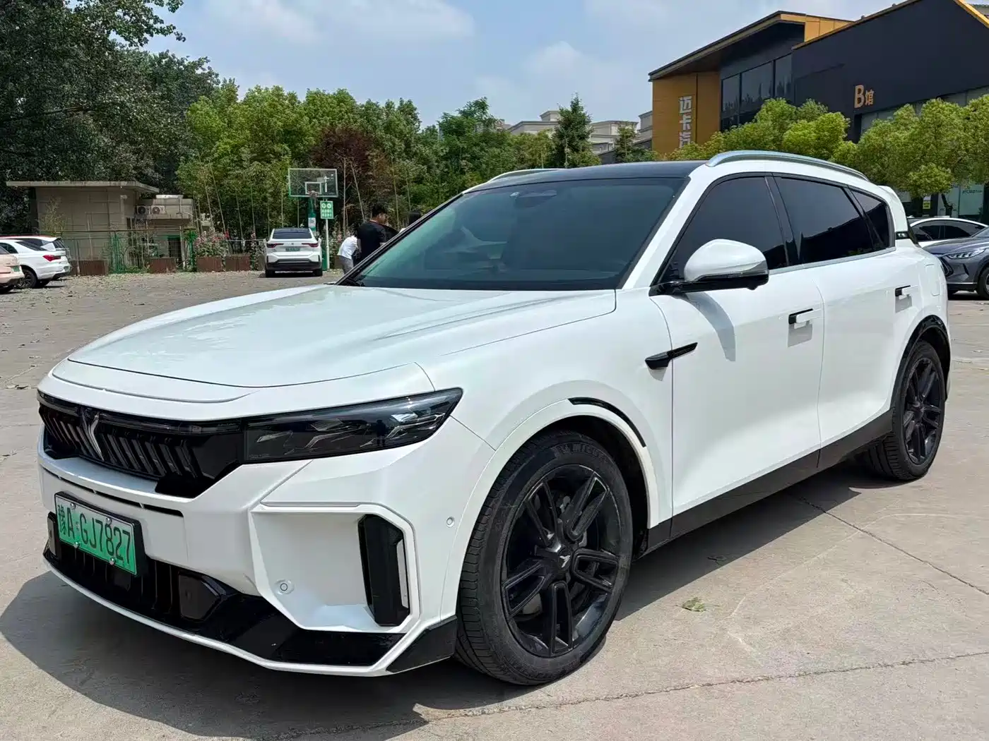 Voyah Auto VOYAH FREE 2024 Ultra Long Range Intelligent Driving Edition