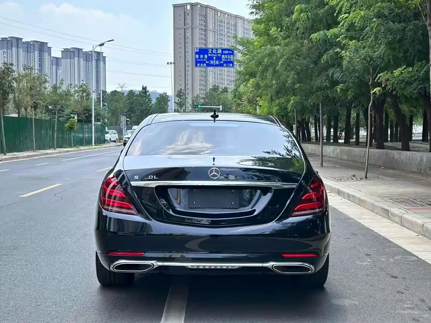 Mercedes-Benz S-Class 2020 S 350 L Premium Edition Collector's Version фото 8