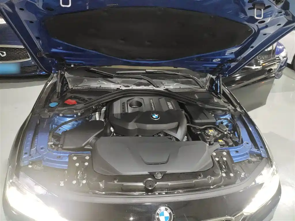 BMW 3 Series 2017 320Li M Sport фото 10