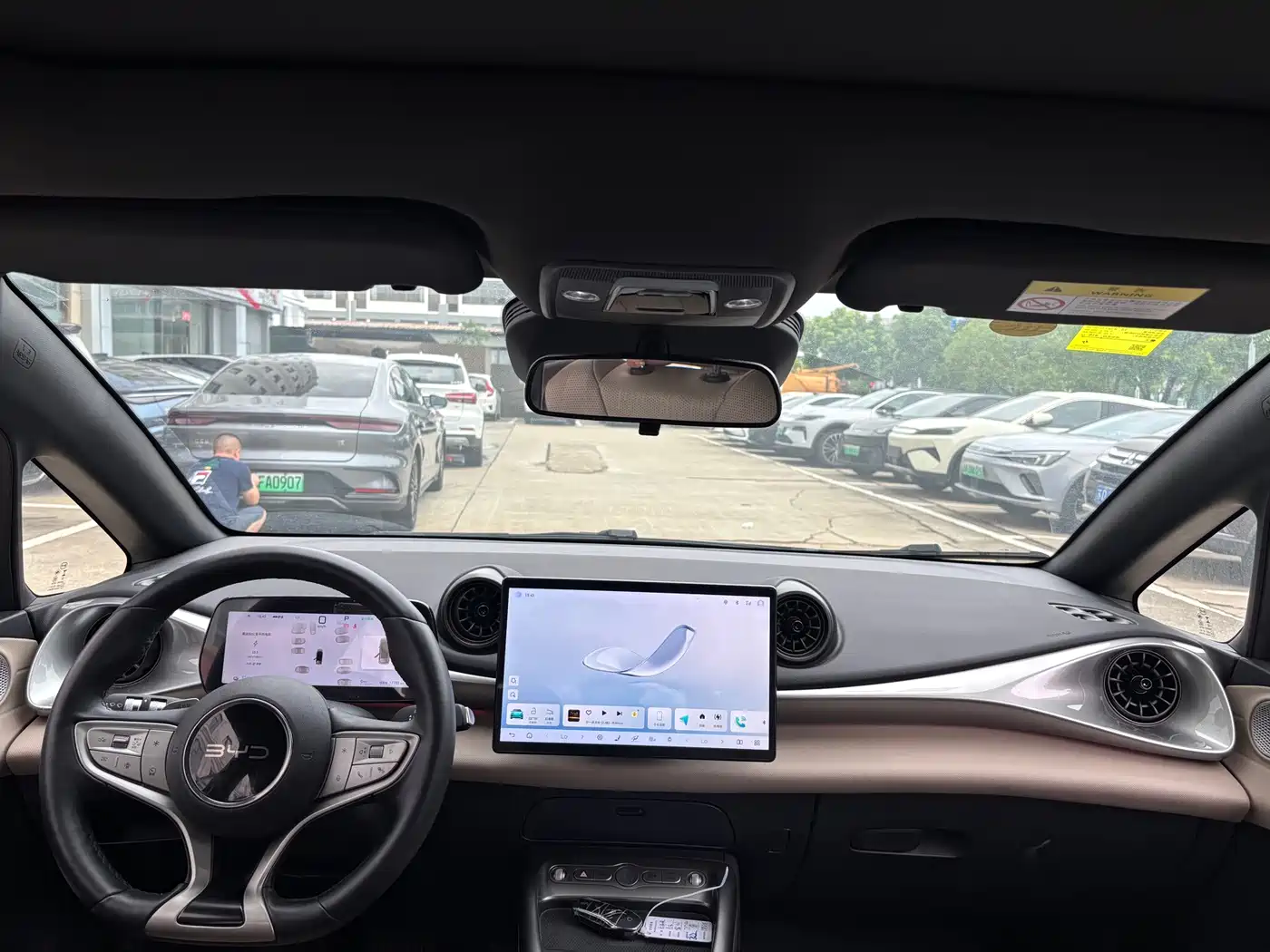 BYD Dolphin 2025 2025 Smart Drive Edition 410km Fashion Version