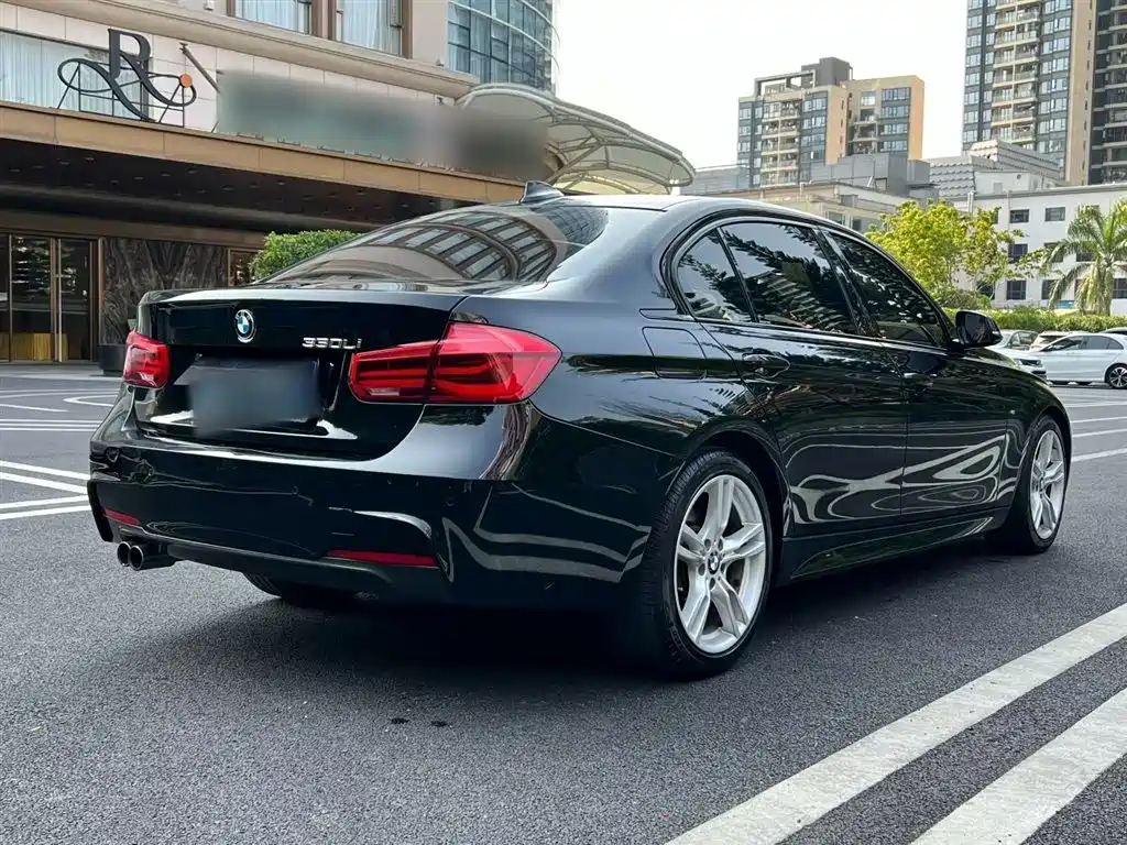 BMW 3 Series 2017 320Li M Sport фото 23