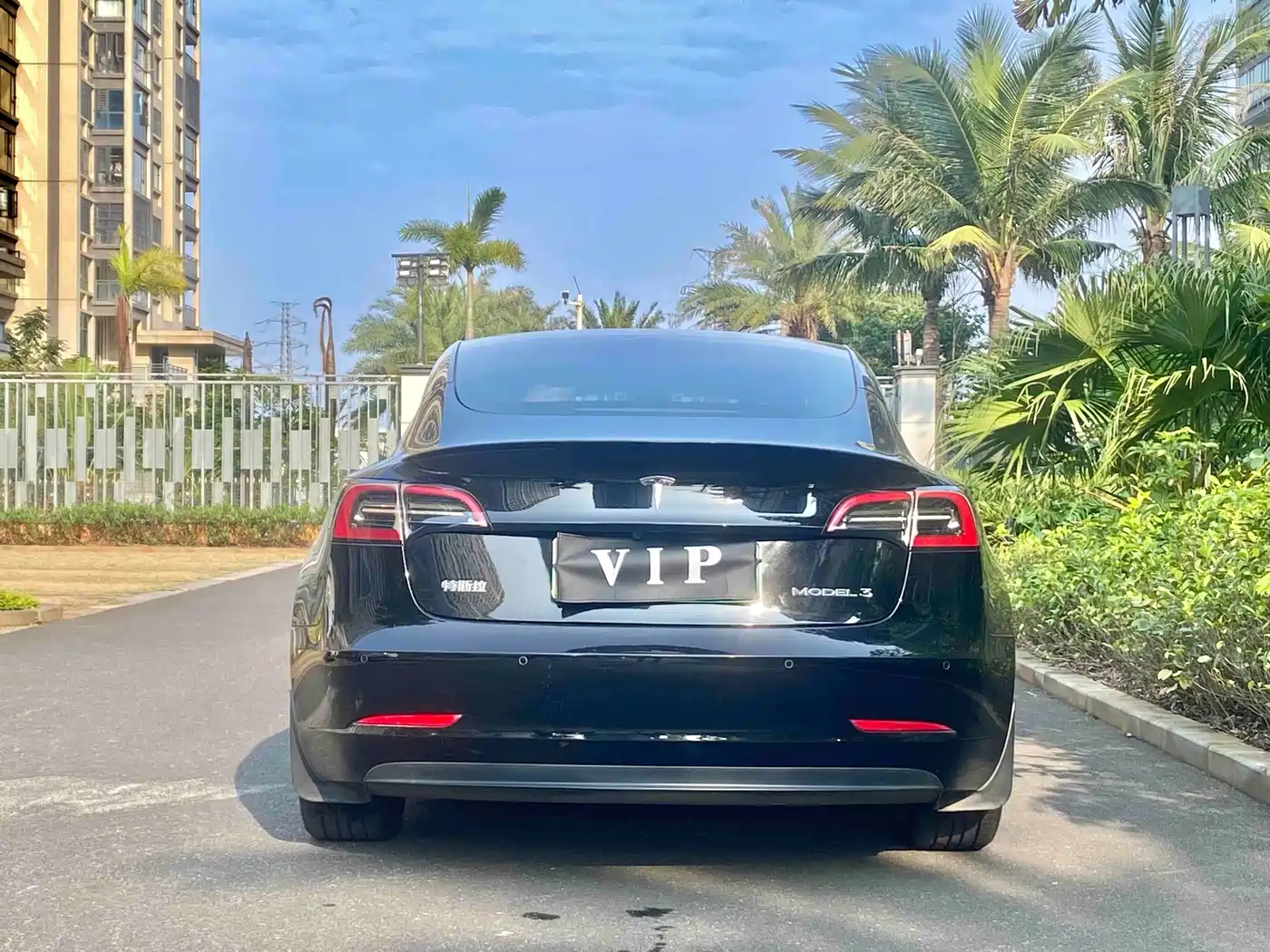 TESLA MODEL 3