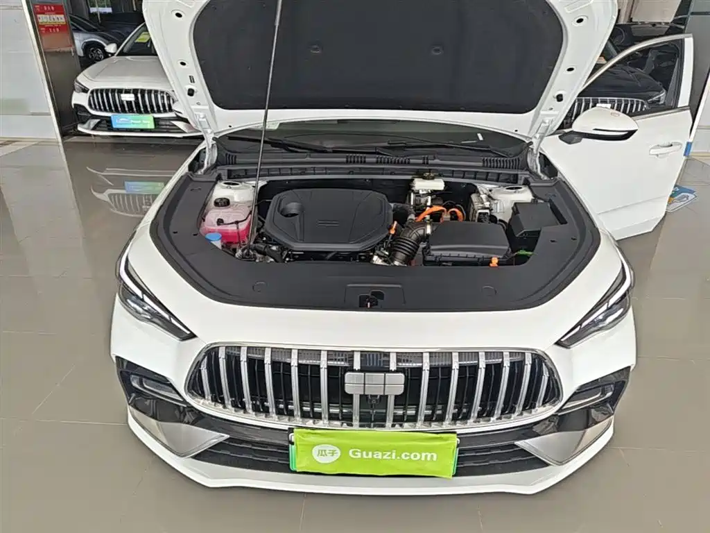 Geely Galaxy Galaxy Stellar 6 2025 60km Voyager Edition фото 20