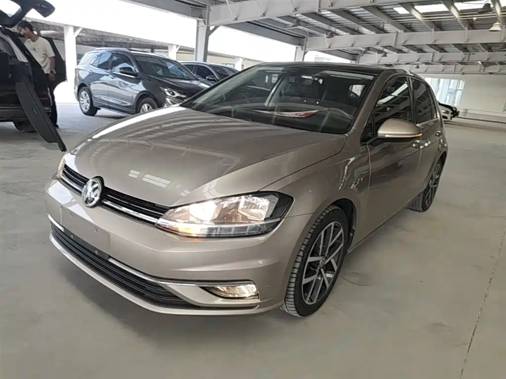 Volkswagen Golf 2019 280TSI DSG Luxury China VI фото 2