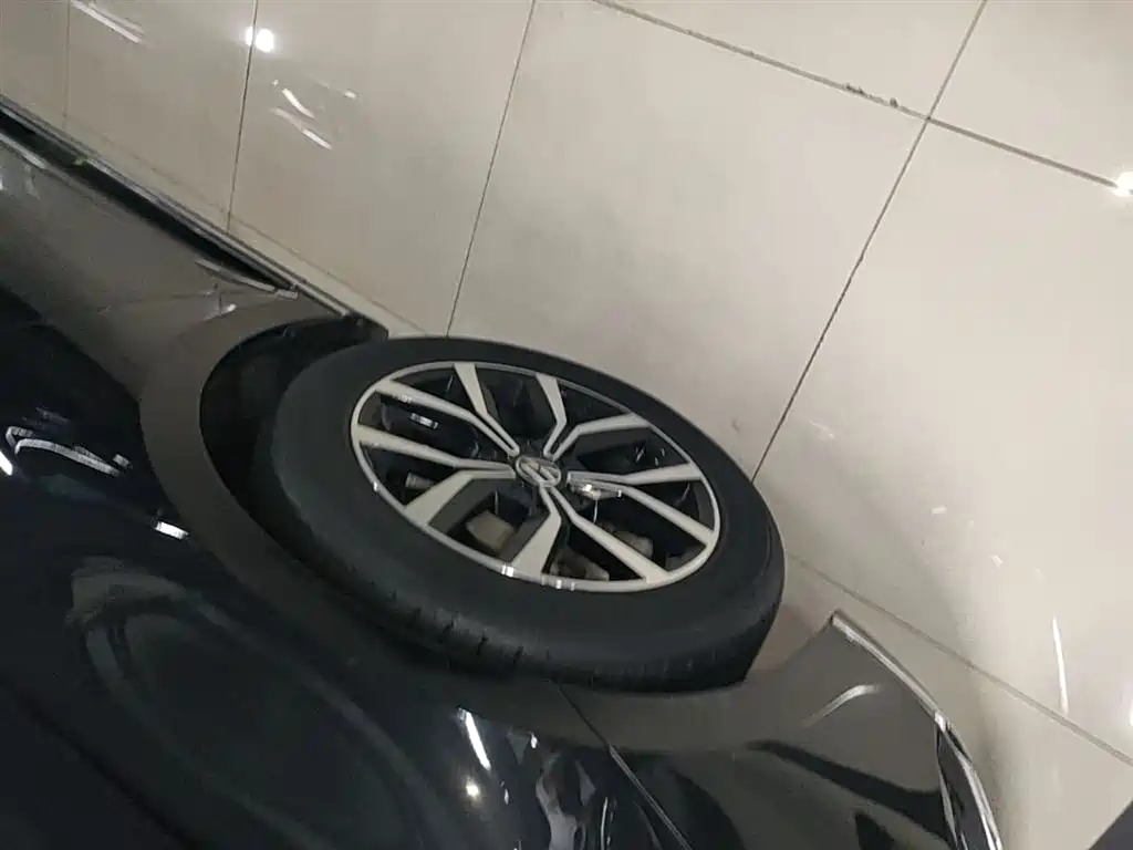 Volkswagen Magotan 2020 330TSI DSG Leading фото 23