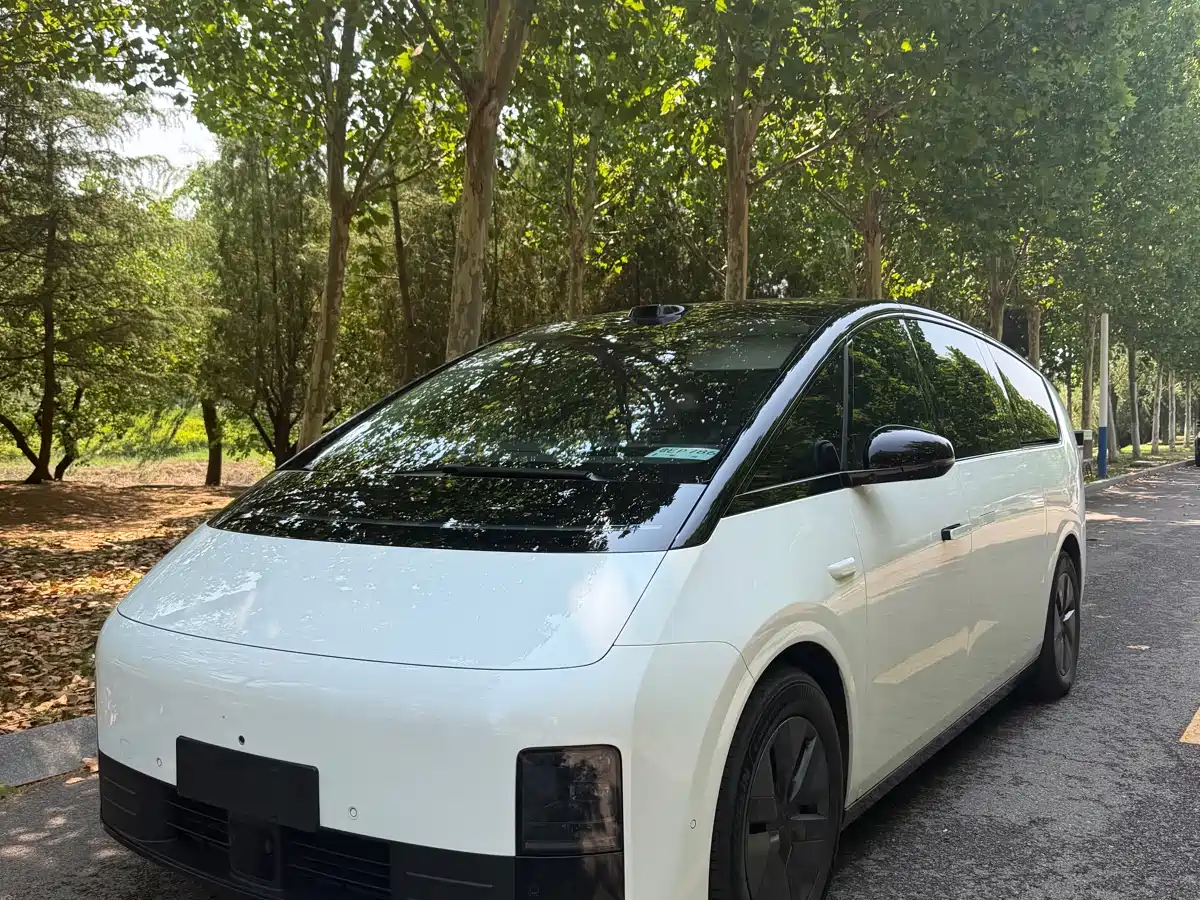  Li Auto Li Auto MEGA 2025 Model Home Family Special Edition