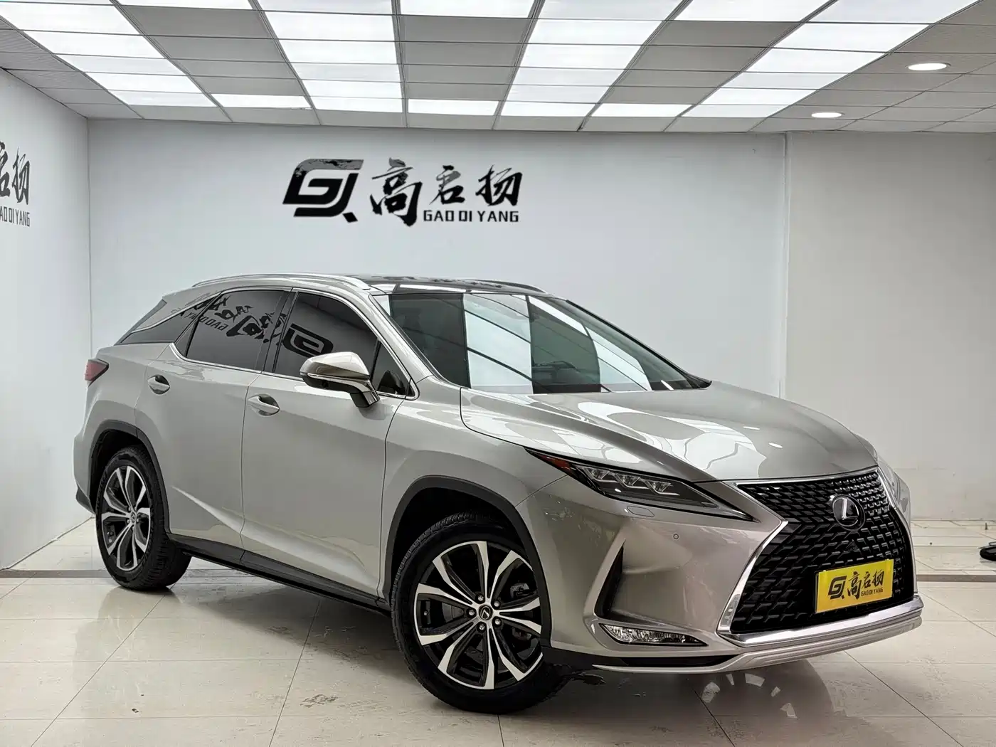 Lexus RX 2020 300 4WD Elegance Edition China VI фото 3