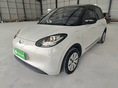 Wuling Bingo