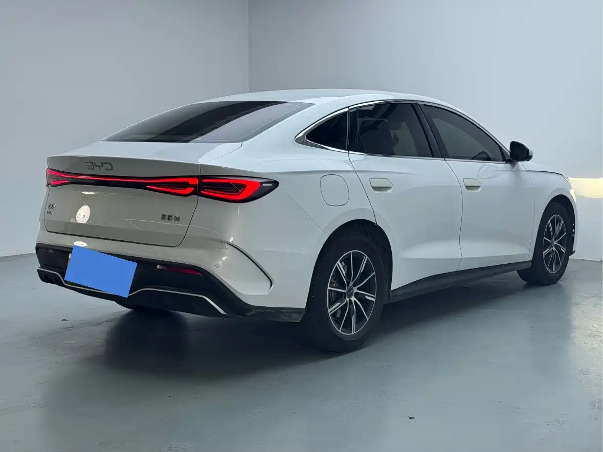 BYD Seal 06 New Energy 2024 DM-i 80KM Prestige фото 9