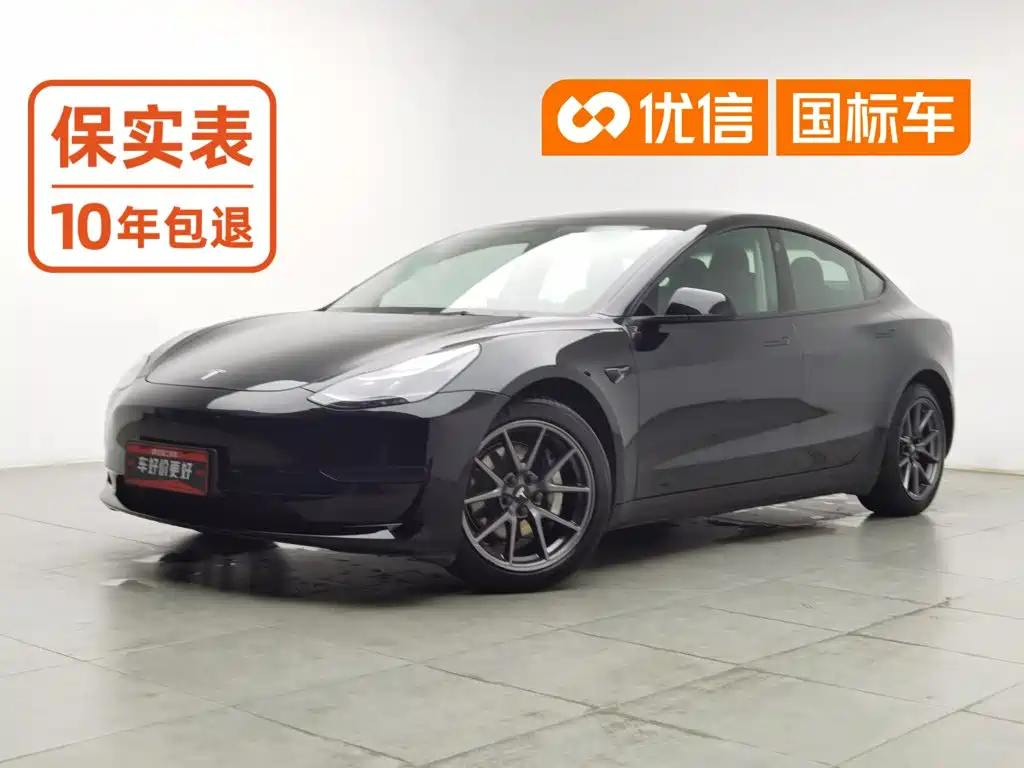 Tesla Model 3 2021
