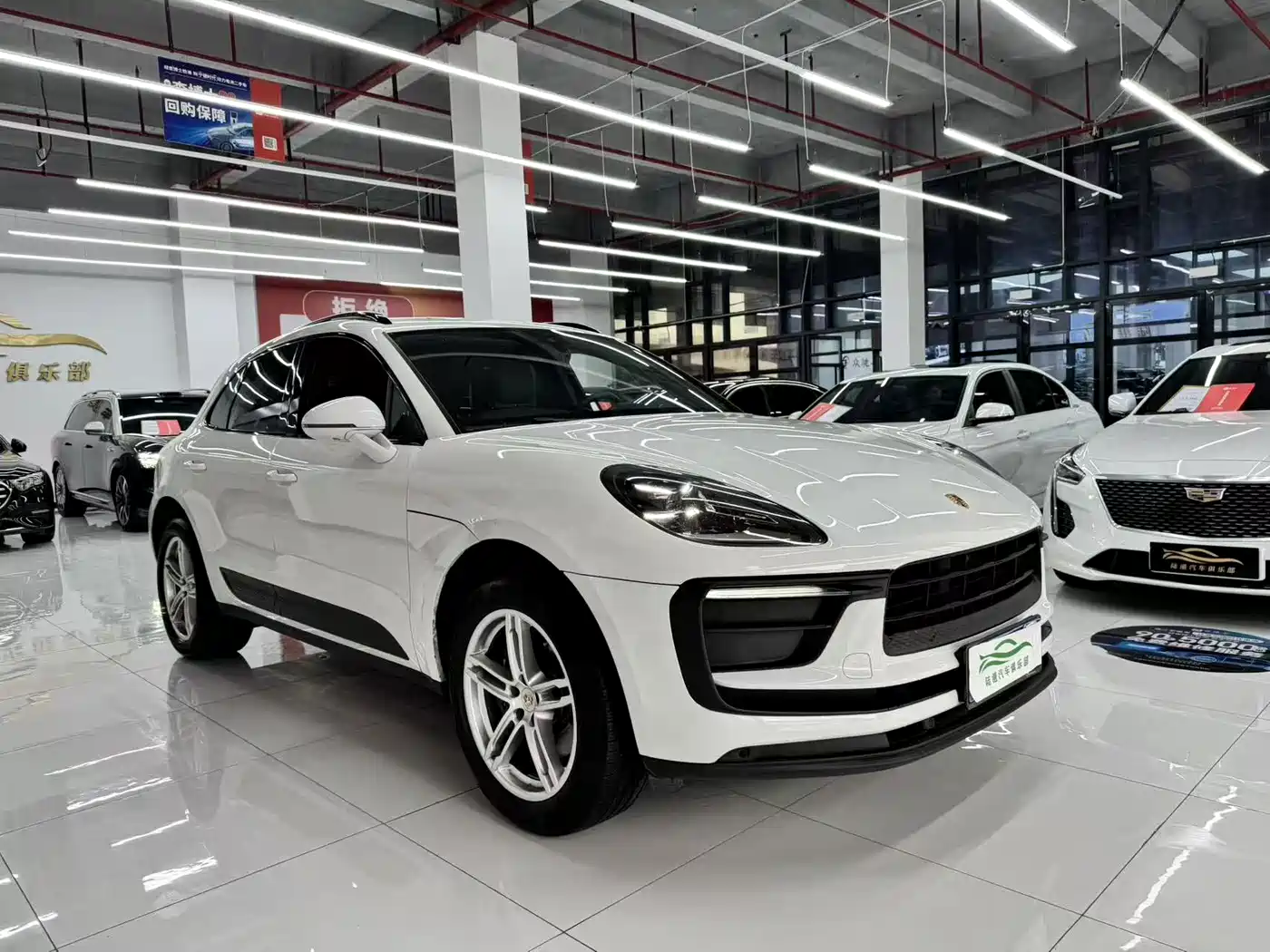 Porsche Macan 2023 Macan 2.0T фото 3