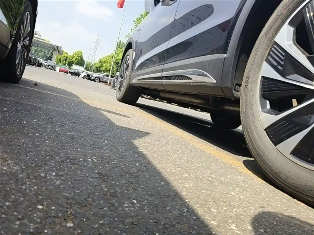 Hongqi HS7 PHEV 2024 2.0T PHEV 4WD Flagship Edition 6-seater фото 22