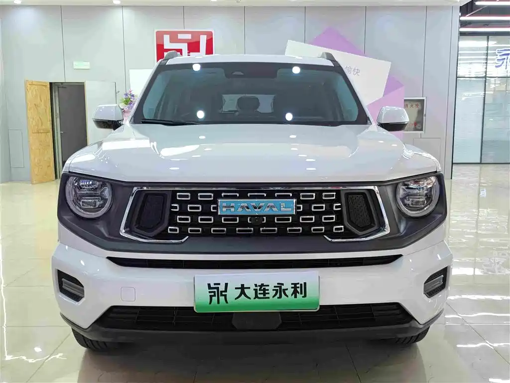2024 Haval Second-Generation Big Dog New Energy