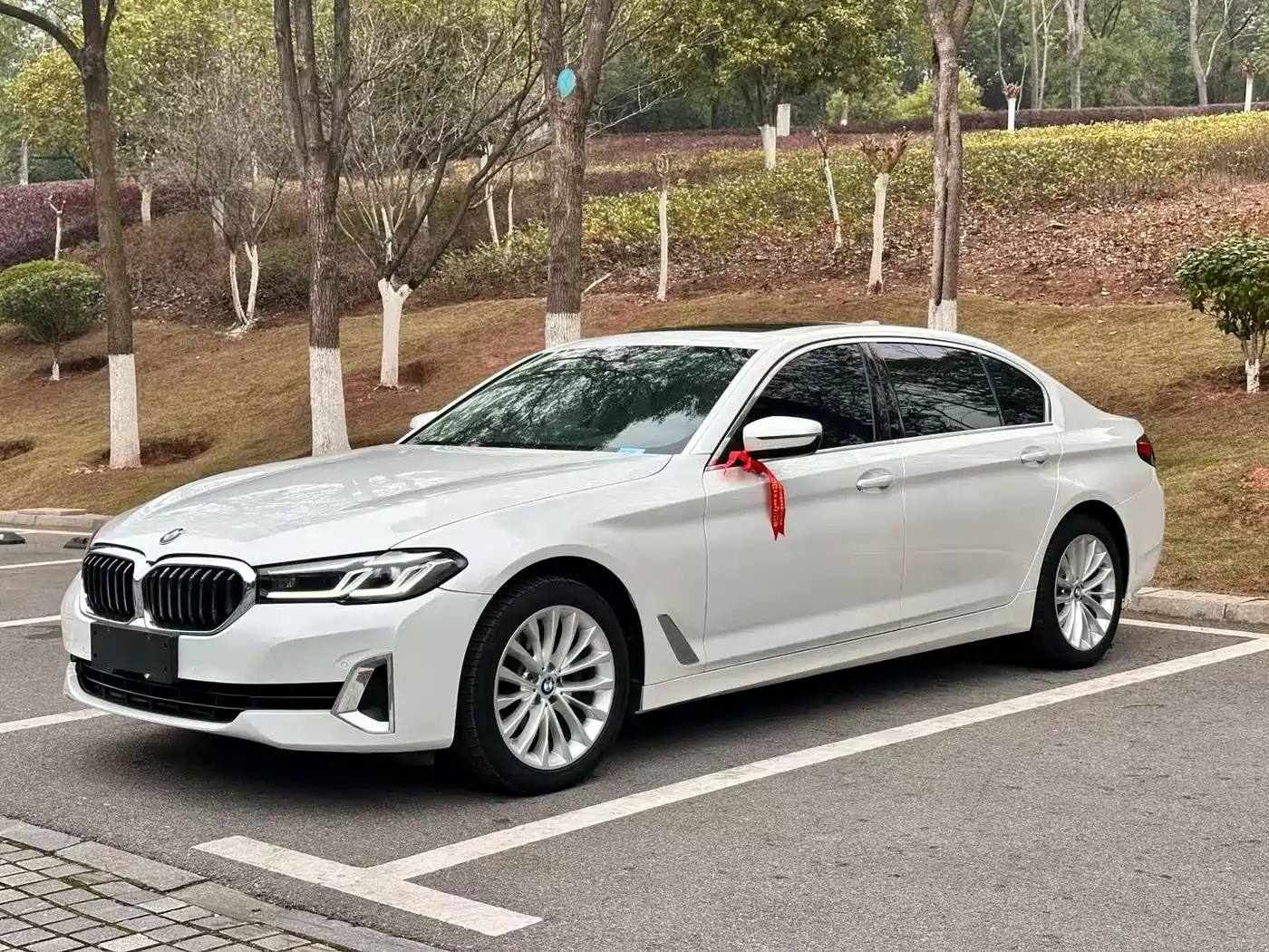 BMW 5 Series 2022 525Li Luxury Package