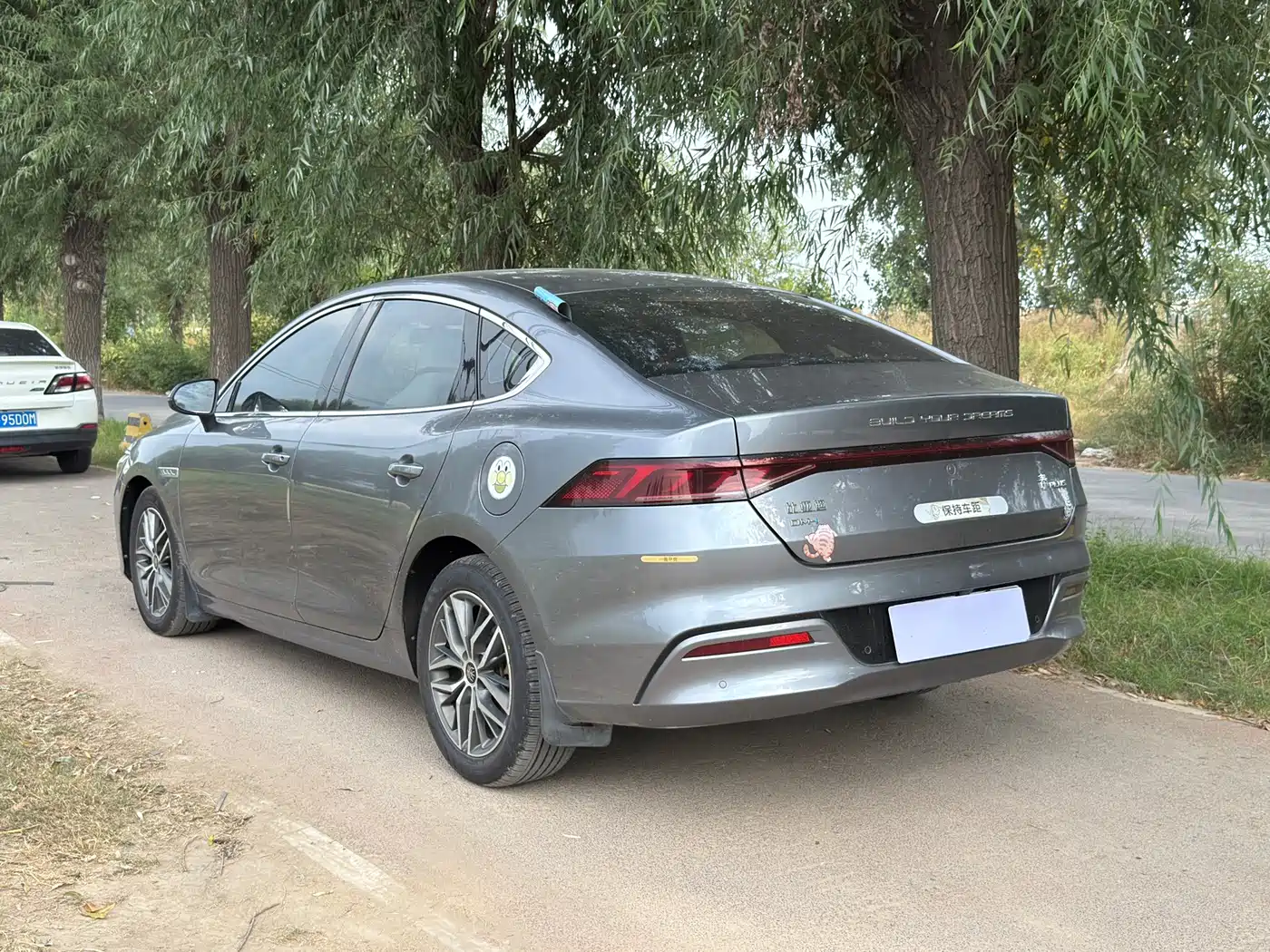 BYD Qin PLUS 2021 2021 DM-i 55KM Flagship