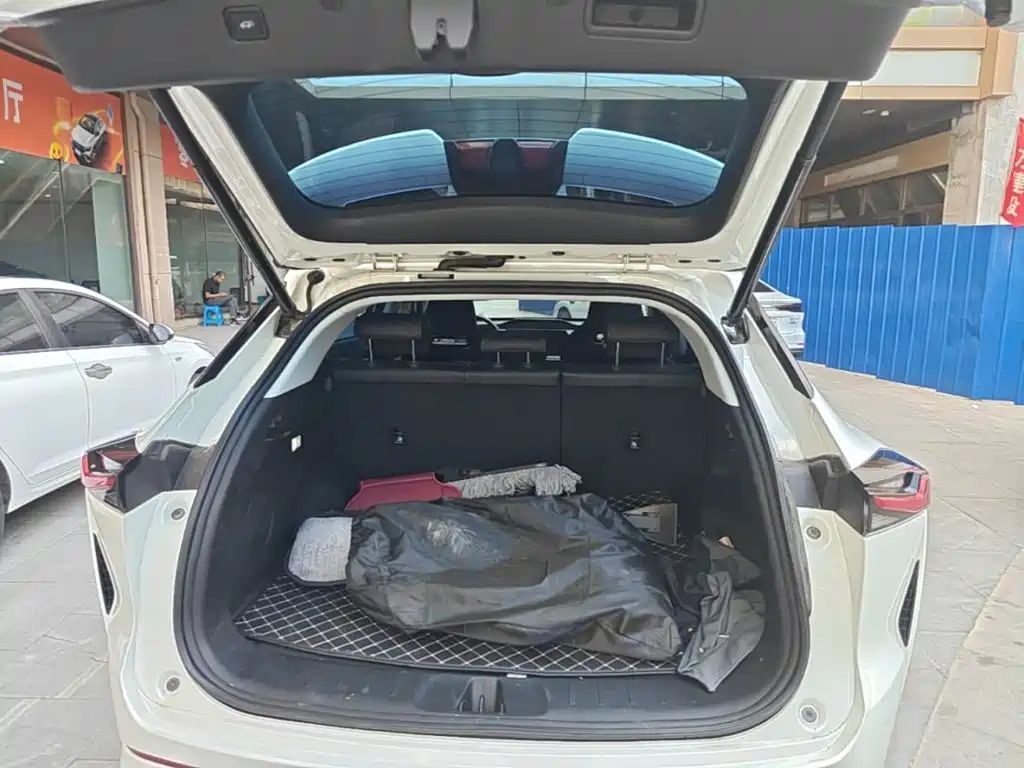 Changan Oshan Z6 2023 2023 Blue Whale 1.5T DCT Smart Premium