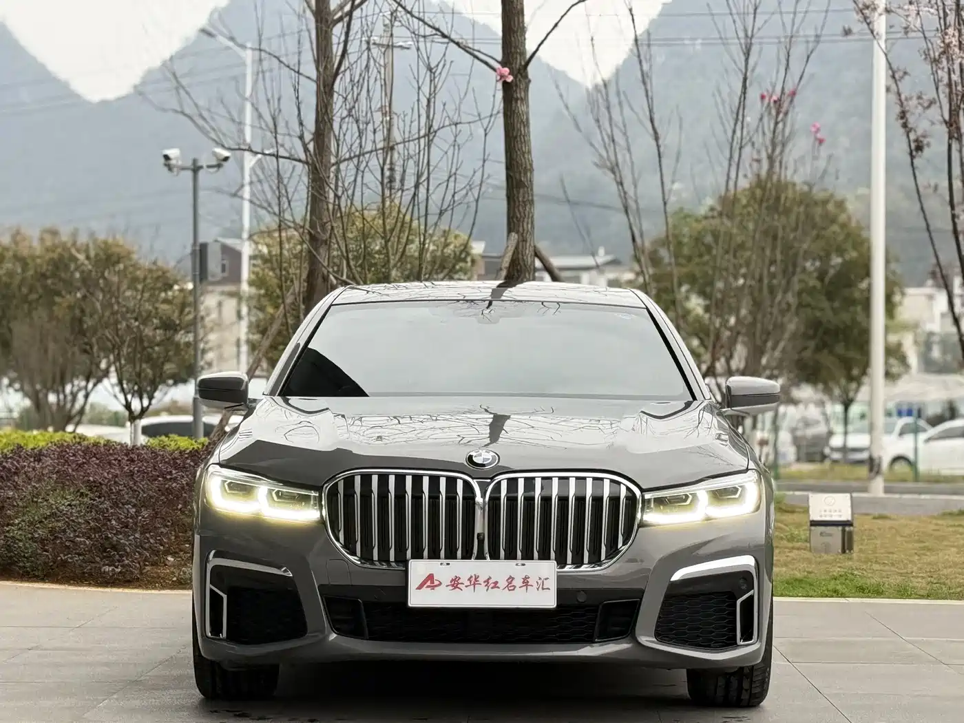 BMW 7 Series 2021 Model 730Li M Sport Package фото 2