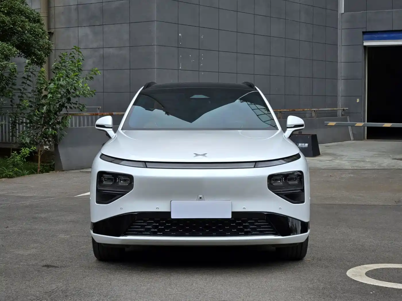 Фото 4 - XPeng G9
