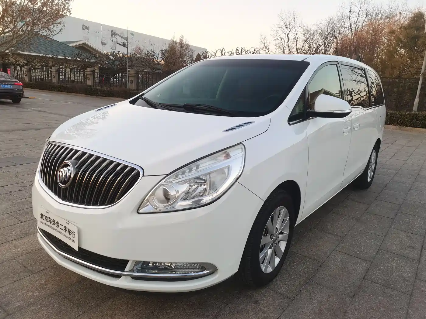 Buick GL8 2014 2.4L CT Luxury Business Comfort фото 3