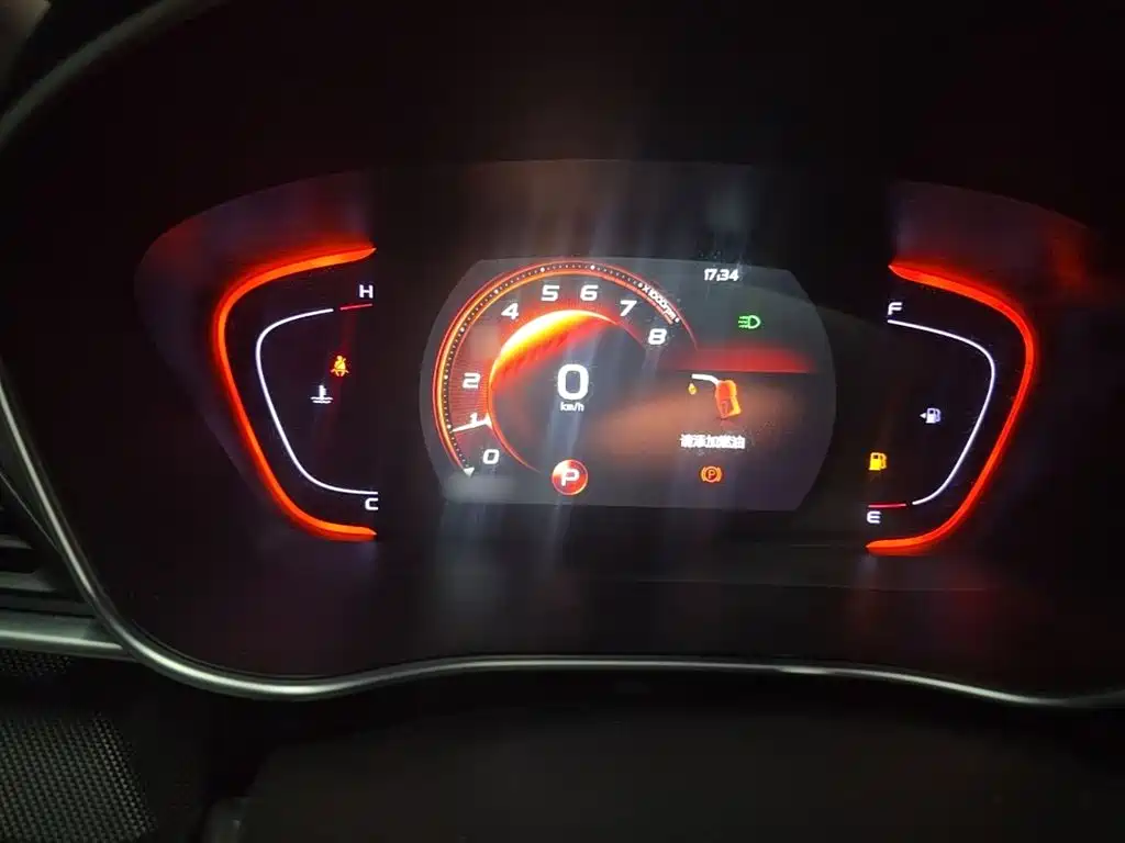 Фото 6 - Geely Binrui