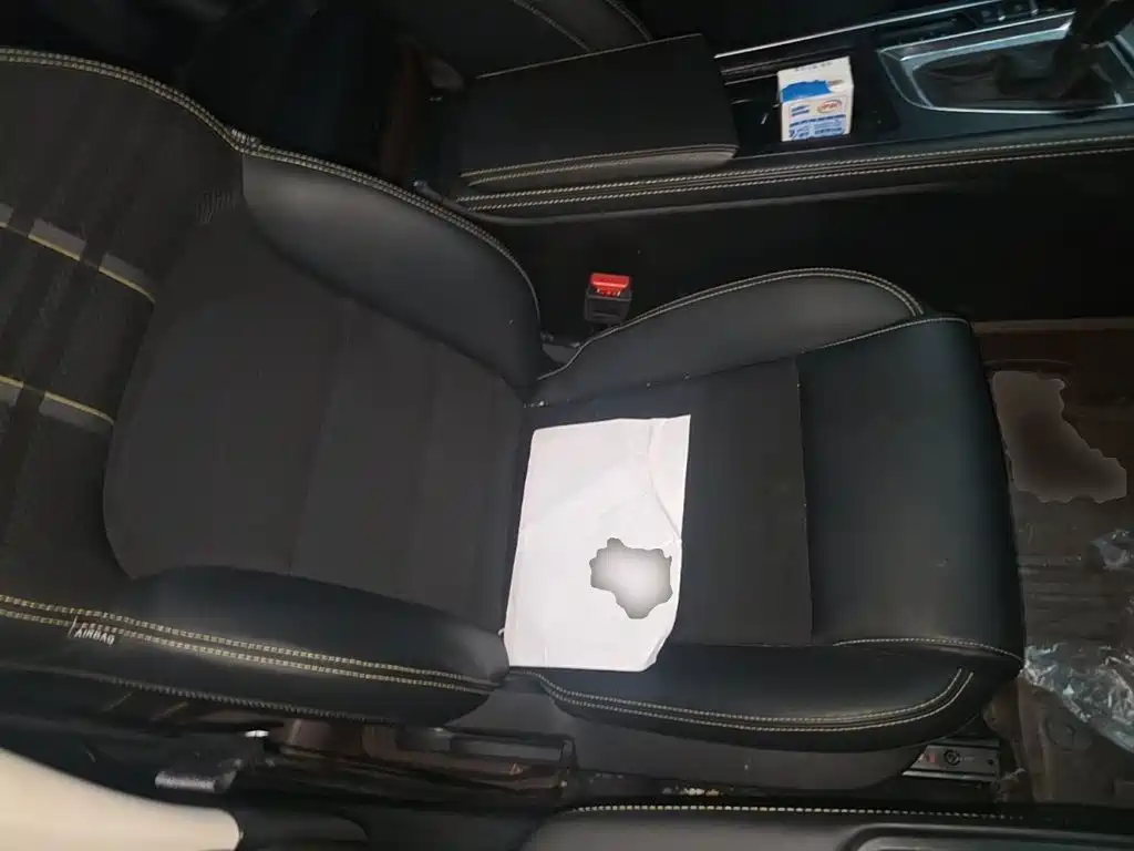 Фото 4 - Geely Binrui