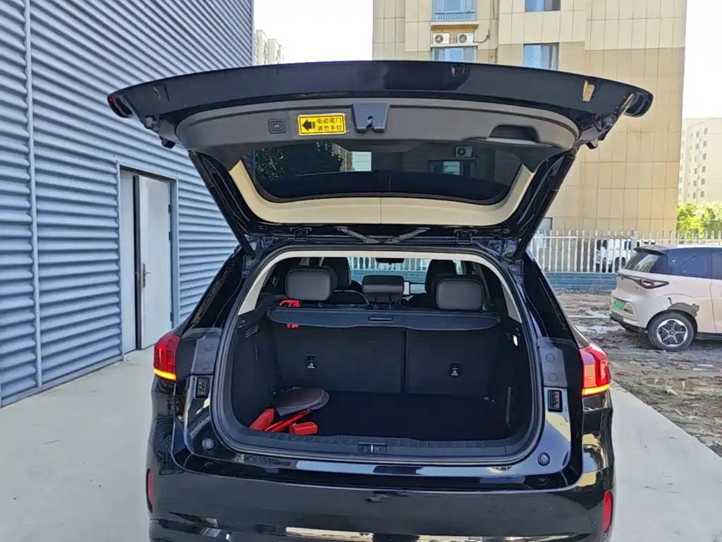 WEY VV6 2021 2021 2.0T 2WD Child Care Edition