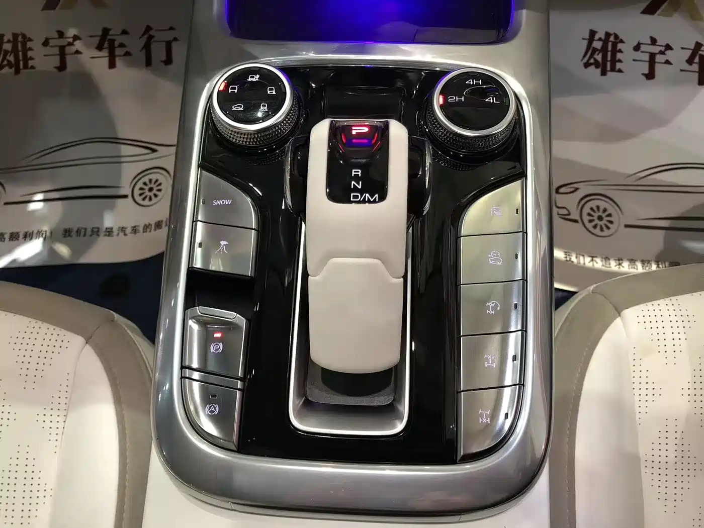 TANK CO CREATION TANK 300