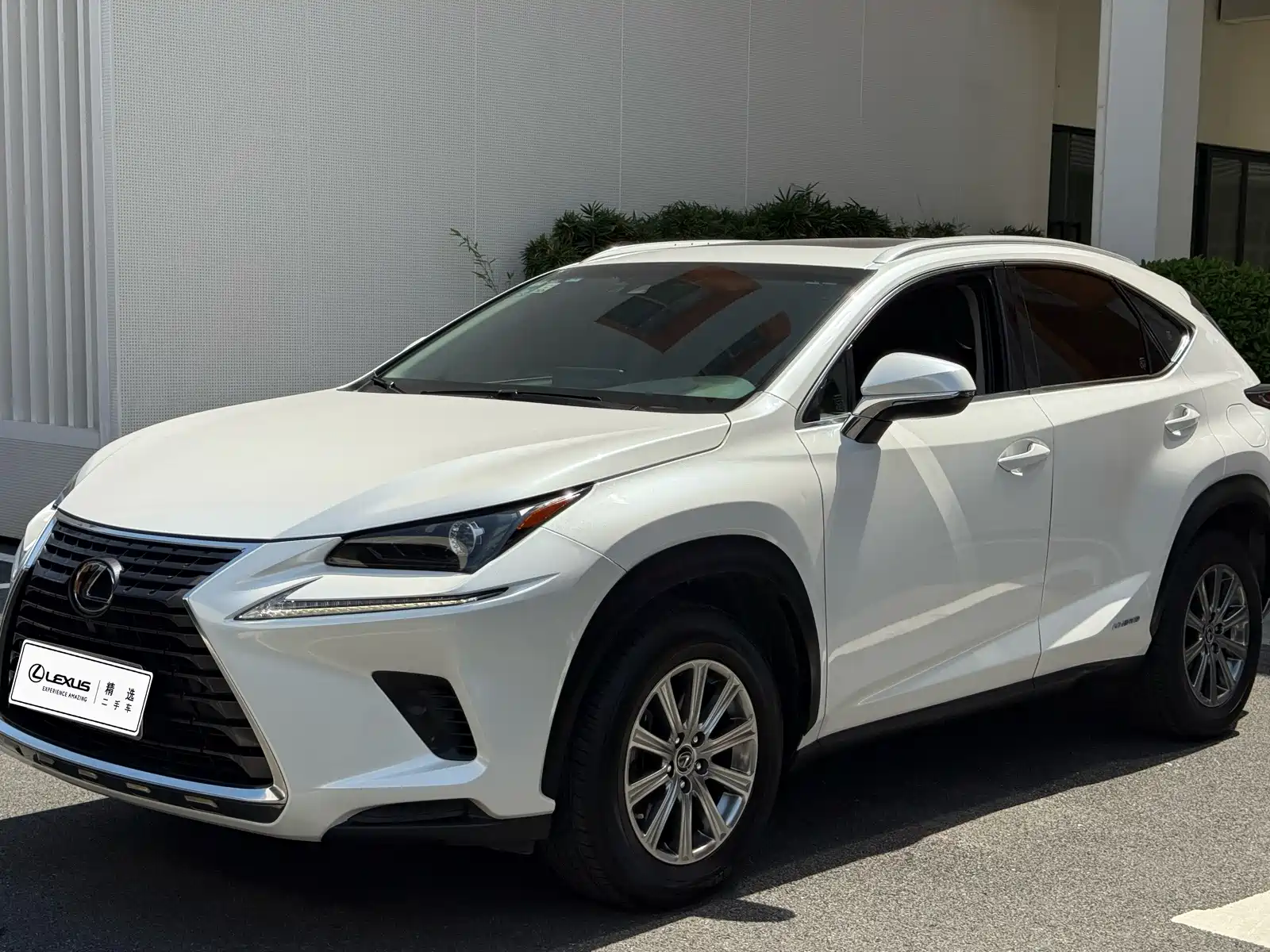 Photo 2 - Lexus NX
