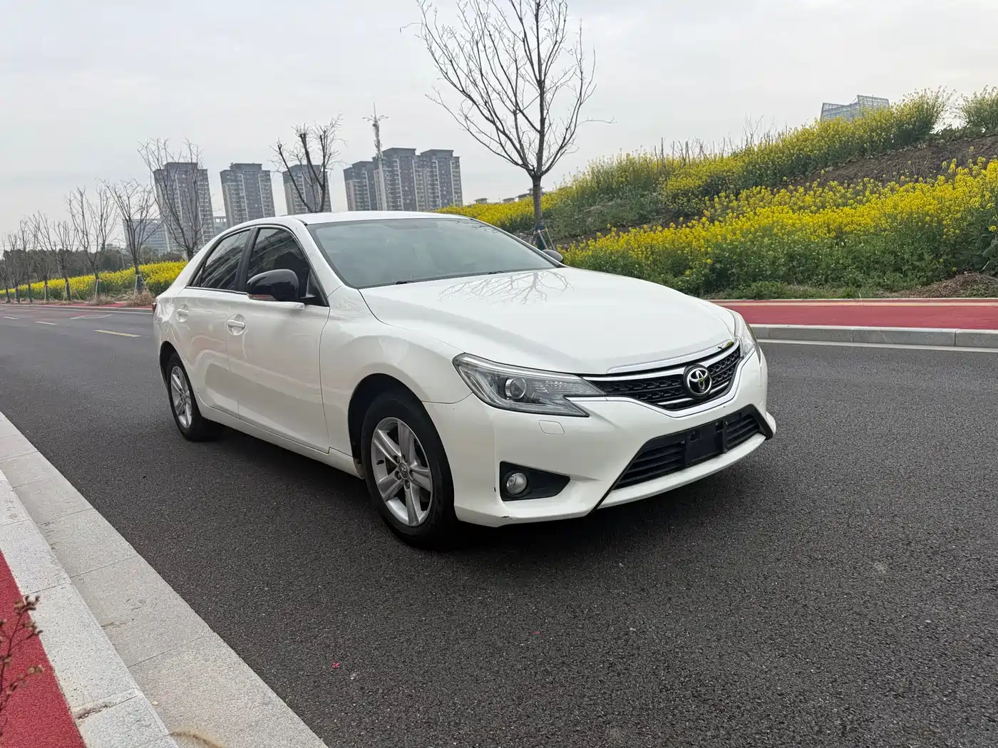Toyota Reiz 2013 2.5S Elite Edition фото 3