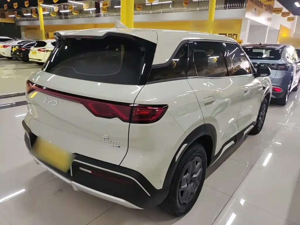BYD Yuan UP 2025 2025 Smart Drive Edition 401KM Vitality Version