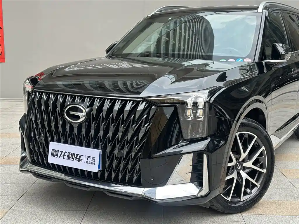 GAC Trumpchi Trumpchi GS8 2022 Dual Engine Series 2.0TM 2WD Premium Edition (6-Seater) фото 22