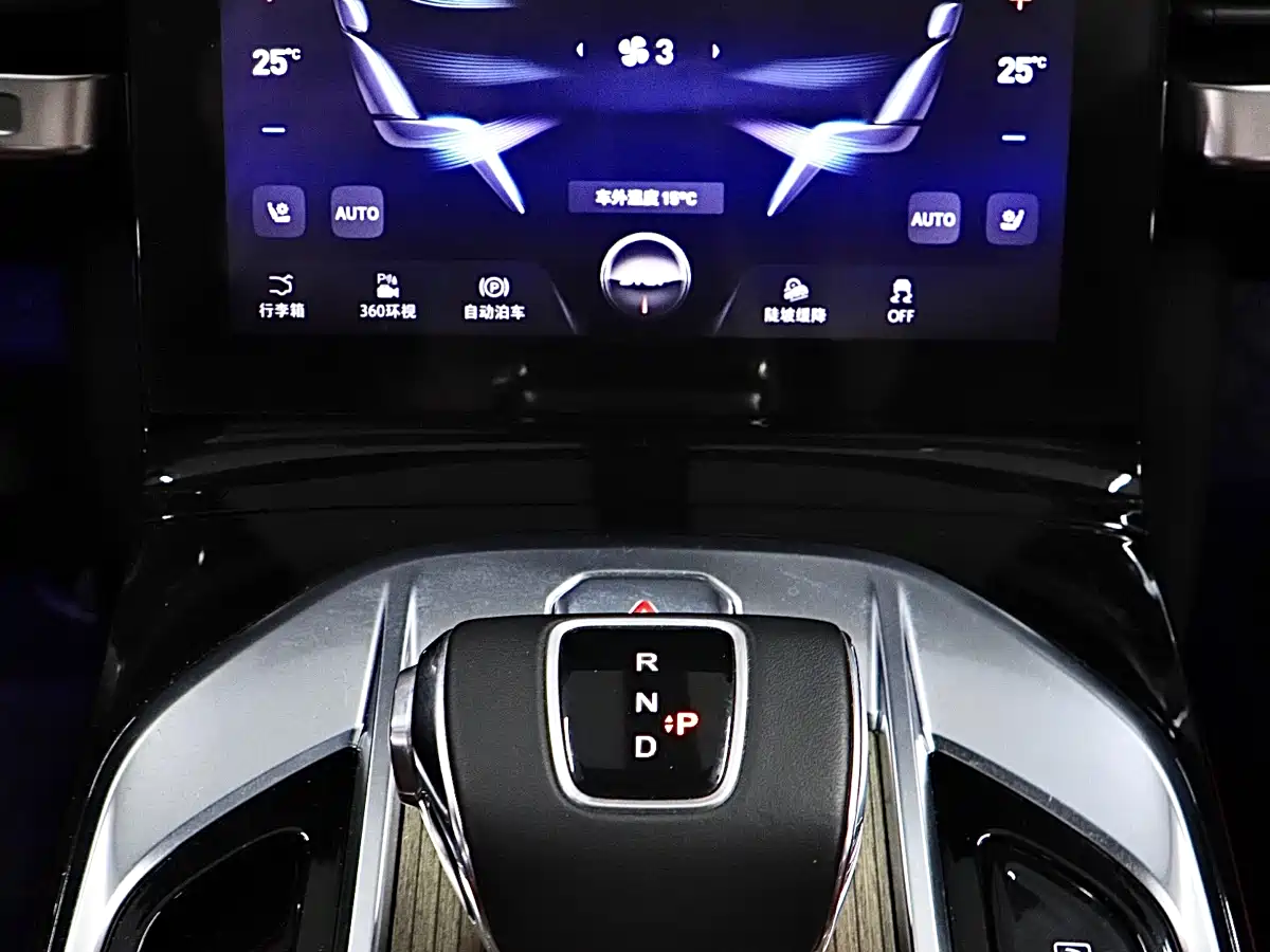 Hongqi E-HS9 2022 660km Qi Chang Edition (6-seater) фото 20
