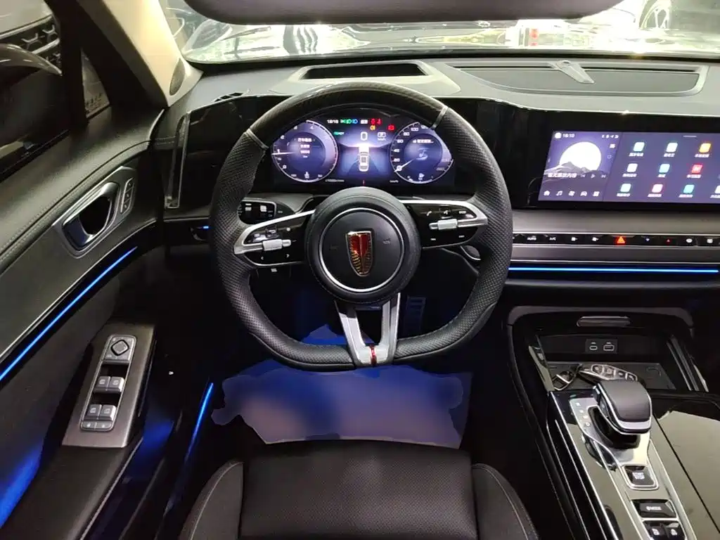 صورة 11 - Hongqi H9