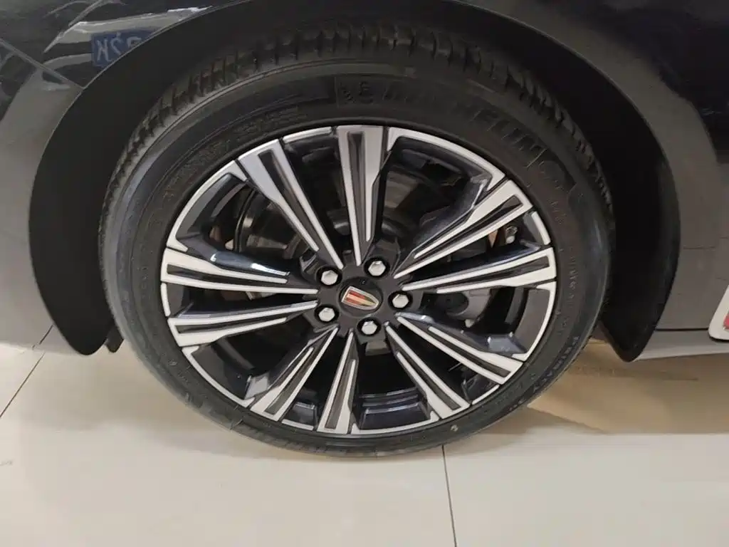 صورة 23 - Hongqi H9