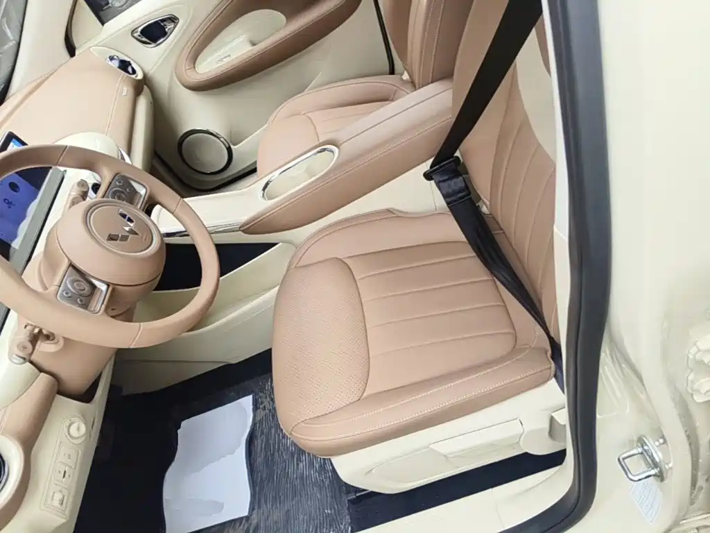 Wuling Motors Wuling Bingo 2026 2025 Model 333km Joy Edition