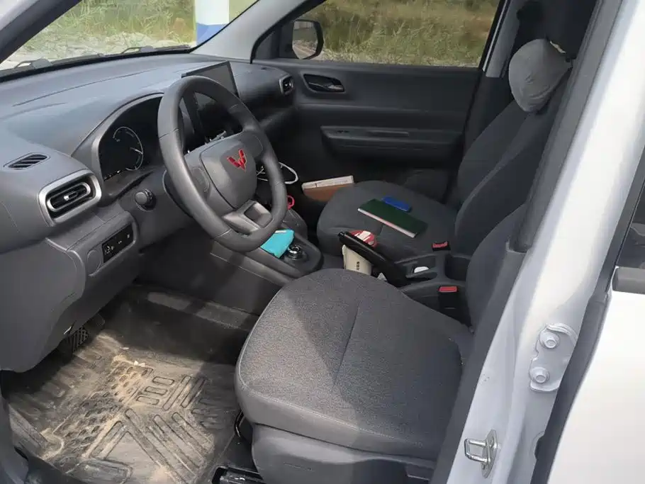Wuling Motors Wuling Hongguang New Energy 2025 2024 Model Pure Electric 300KM Utility Version