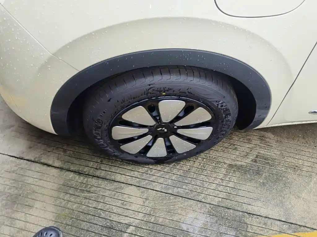 Wuling Motors Wuling Bingo 2026 2025 Model 333km Joy Edition